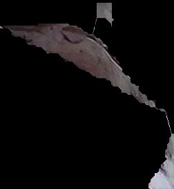 Crop