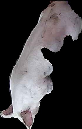 Crop