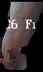 Crop
