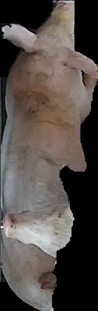 Crop