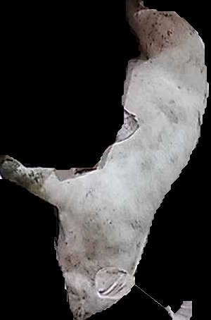 Crop