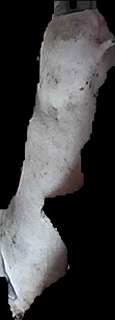 Crop
