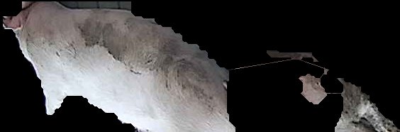 Crop