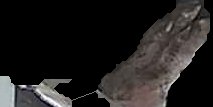 Crop