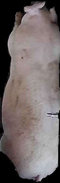 Crop