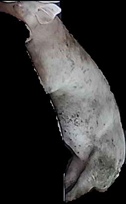 Crop