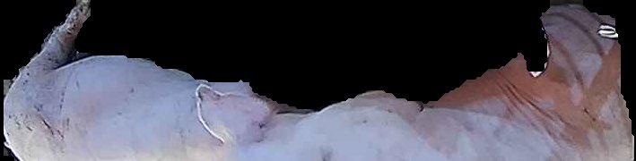 Crop