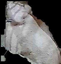 Crop