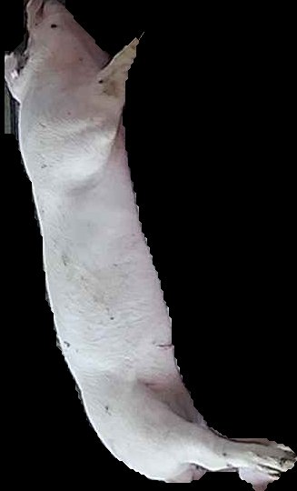 Crop