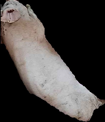 Crop