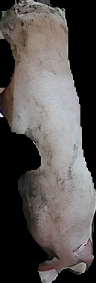 Crop