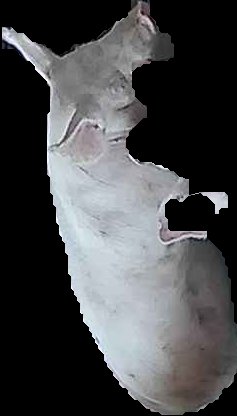 Crop