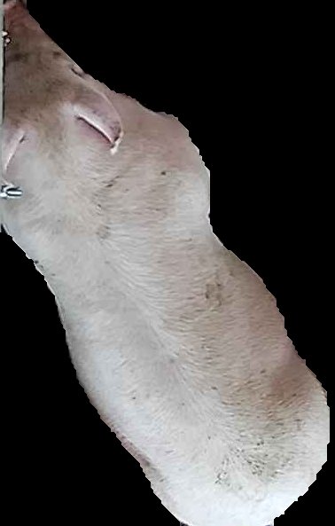 Crop
