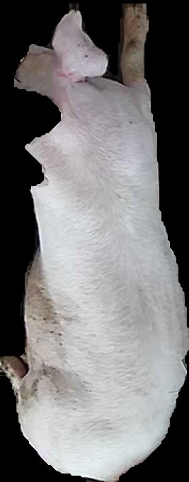 Crop