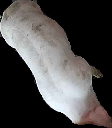 Crop