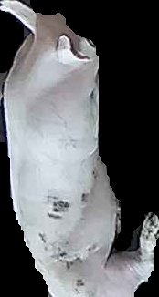 Crop