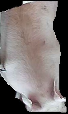 Crop