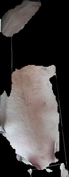Crop