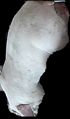 Crop