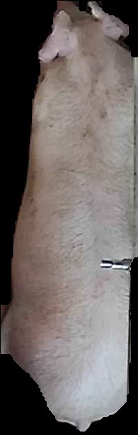 Crop