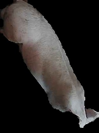 Crop