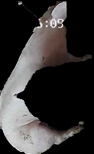 Crop