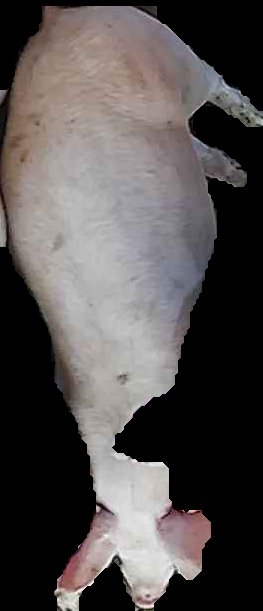 Crop