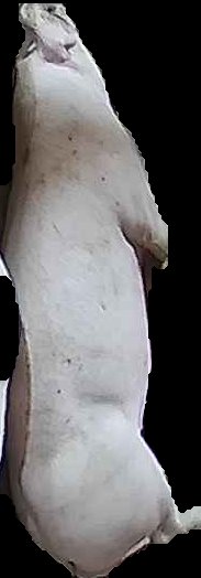 Crop