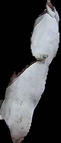 Crop