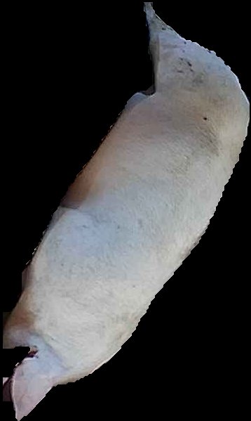 Crop