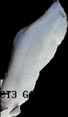 Crop