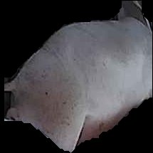 Crop