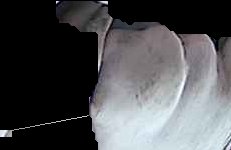 Crop