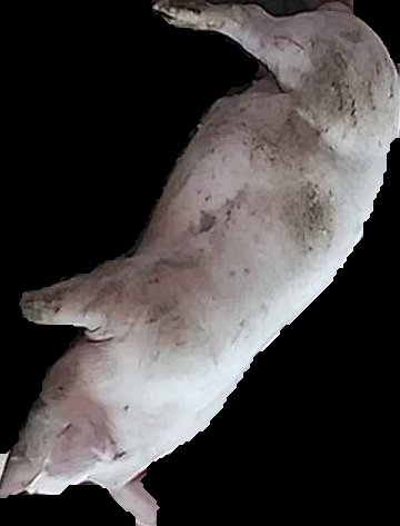 Crop