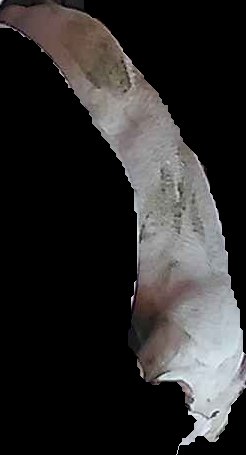 Crop