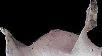 Crop