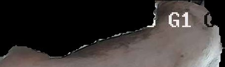 Crop