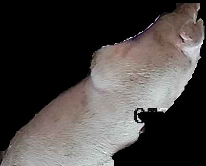 Crop