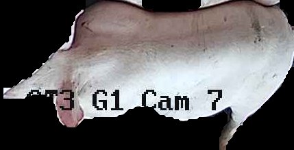 Crop