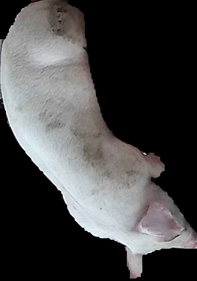 Crop