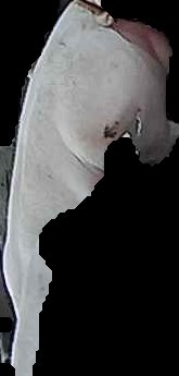 Crop