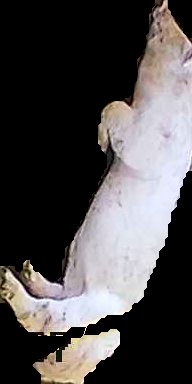 Crop