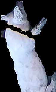 Crop