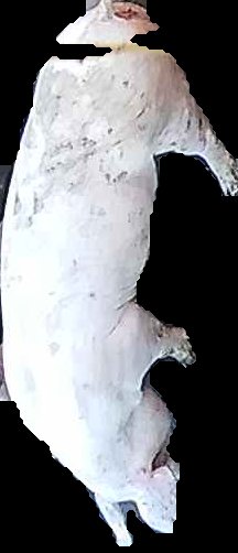 Crop