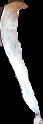 Crop