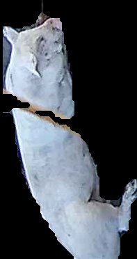 Crop