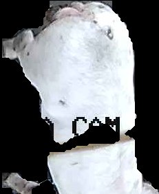 Crop
