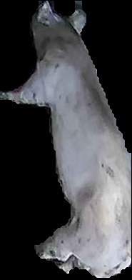 Crop