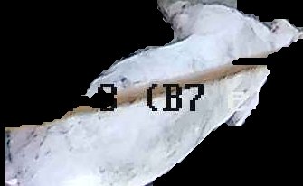 Crop