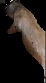 Crop